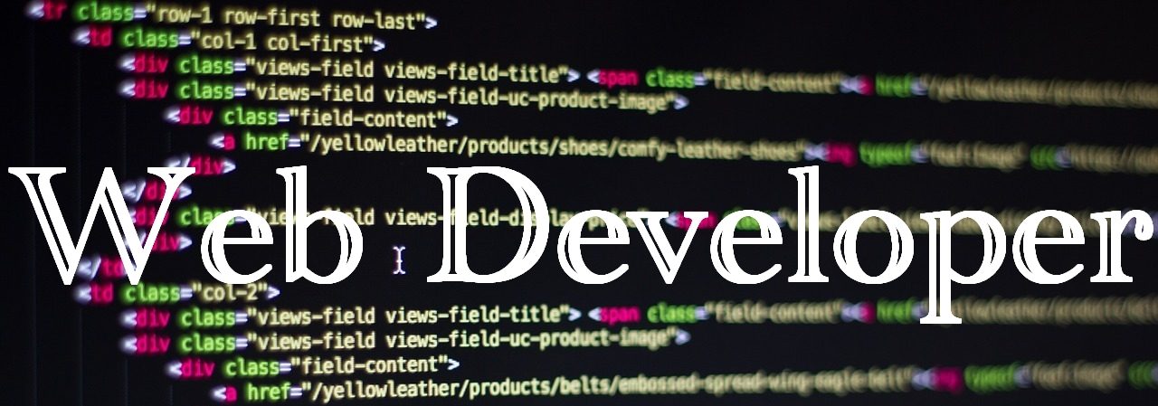 Web Developer